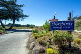 101 Shell Drive - Photo 19
