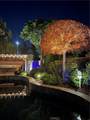 6798 Gilbert Place - Photo 54
