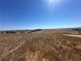 3834 Caroline Court - Photo 4