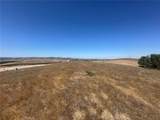 3834 Caroline Court - Photo 6