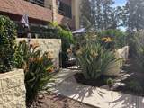 24055 Paseo Del Lago - Photo 30