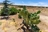 28391 Skyway Dr - Photo 9
