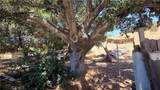 30323 San Martinez - Photo 5