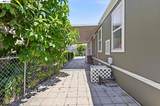 28957 Venus St - Photo 41