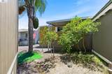 28957 Venus St - Photo 42