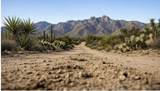 63330 Jeraboa Road - Photo 13