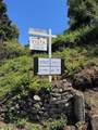 502 Loma Prieta Drive - Photo 2