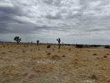 150 Avenue L - Photo 30