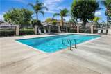 26438 Paseo Pamela - Photo 12