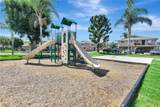 26438 Paseo Pamela - Photo 13