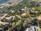 1 Rincon Springs - Photo 11
