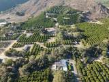 1 Rincon Springs - Photo 2