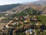 1 Rincon Springs - Photo 6