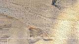 2 Baseline Road - Photo 13