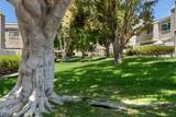 1254 Seacliff Court - Photo 38