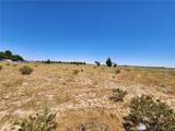 22200 Yerba Boulevard - Photo 4