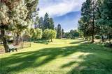 24055 Paseo Del Lago - Photo 45