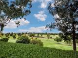 24055 Paseo Del Lago - Photo 55