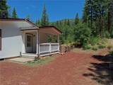 30700 Scrub Oak - Photo 3