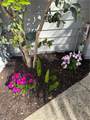 2687 Orange - Photo 15