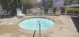 11842 Paseo Lucido - Photo 40