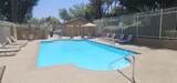 11842 Paseo Lucido - Photo 43