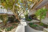 11150 Glenoaks - Photo 53