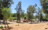 28480 Red Gum Drive - Photo 15