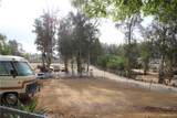 28480 Red Gum Drive - Photo 21