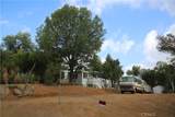 28480 Red Gum Drive - Photo 23