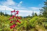 24680 Ten Mile Road - Photo 18