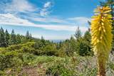 24680 Ten Mile Road - Photo 6