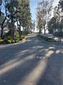 33146 Ocean - Photo 12