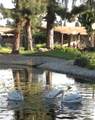 14036 Lake View Drive - Photo 44
