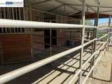 1701 Trail Ride Road - Photo 20