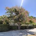704 Santa Ynez Lane - Photo 43