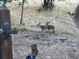 205 Summit Rd - Photo 58