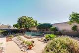 51530 Pine Creek Place - Photo 25