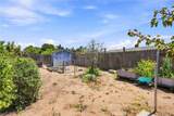 302 Patterson - Photo 38