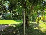14954 Wyandotte St - Photo 3