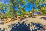 42395 Maples Lane - Photo 50