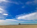 1808 Balboa - Photo 13