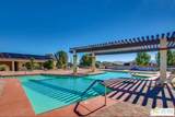 15300 Palm Drive - Photo 19