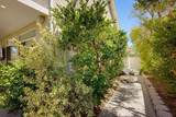 41835 Via Vasquez - Photo 50