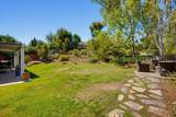 41835 Via Vasquez - Photo 53