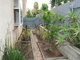 1633 Calle Las Casas - Photo 19