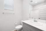 29522 Via Cosecha - Photo 16