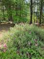 5245 Headwaters Road - Photo 54