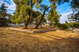 32455 Agua Dulce Canyon Road - Photo 53