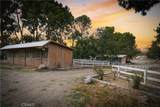 32455 Agua Dulce Canyon Road - Photo 55